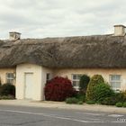 ein irisches Cottage