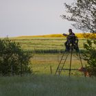 Ein Jäger beim Ansitz