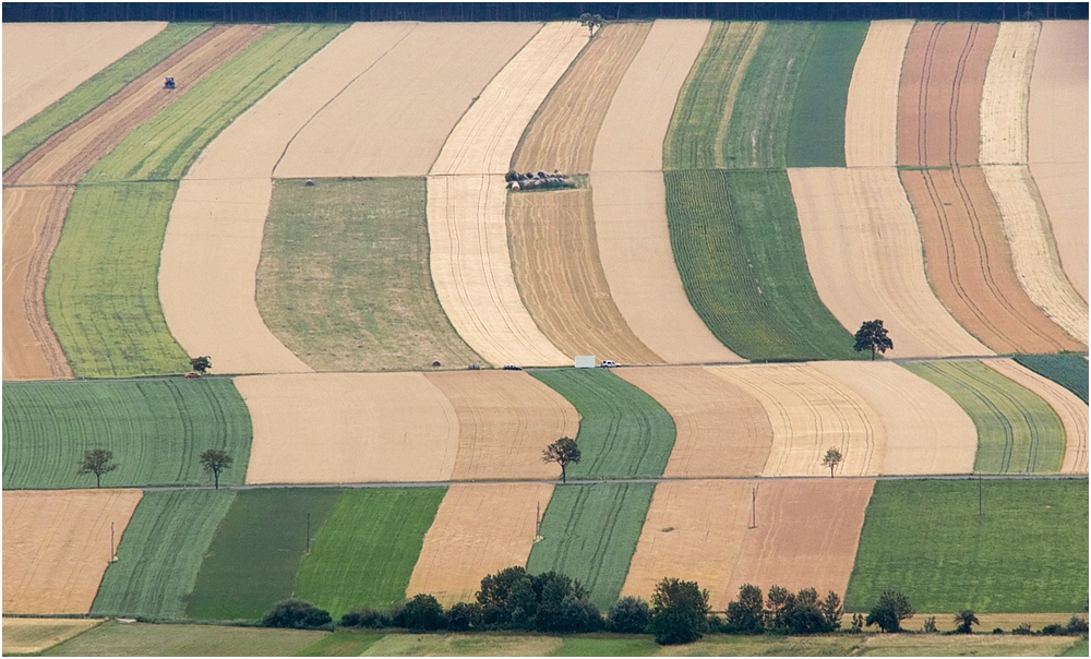 Ein Jahr lang war die Speicherkarte im Auto vergessen