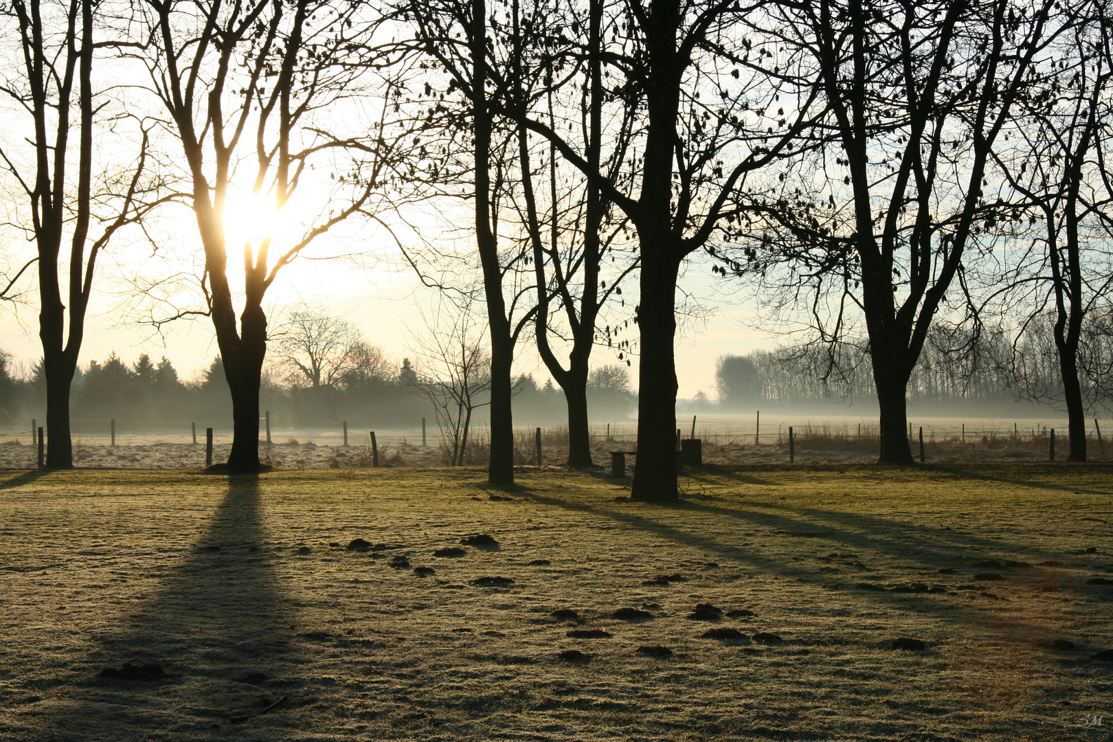 Ein Januar-Morgen 2011 IV