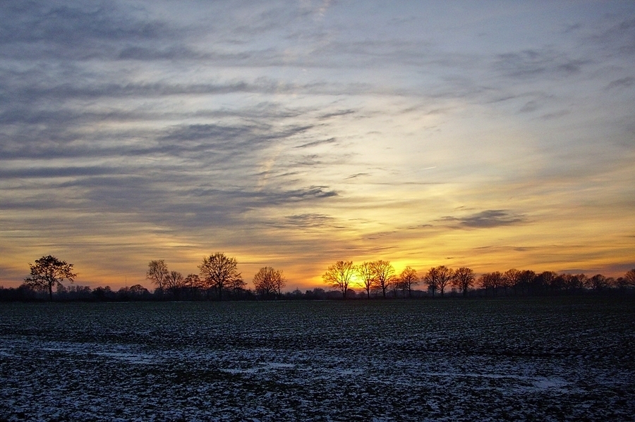 Ein Januarabend in Holstein -  frohes neues Jahr!