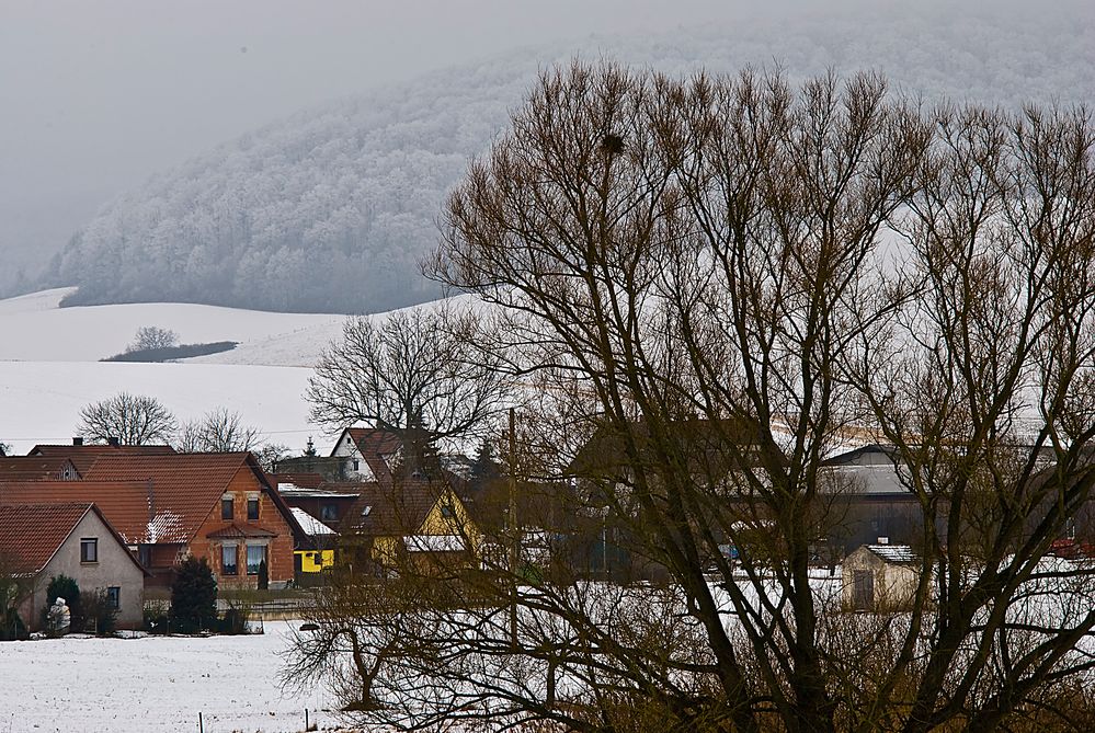 ein Januartag in der Rhön