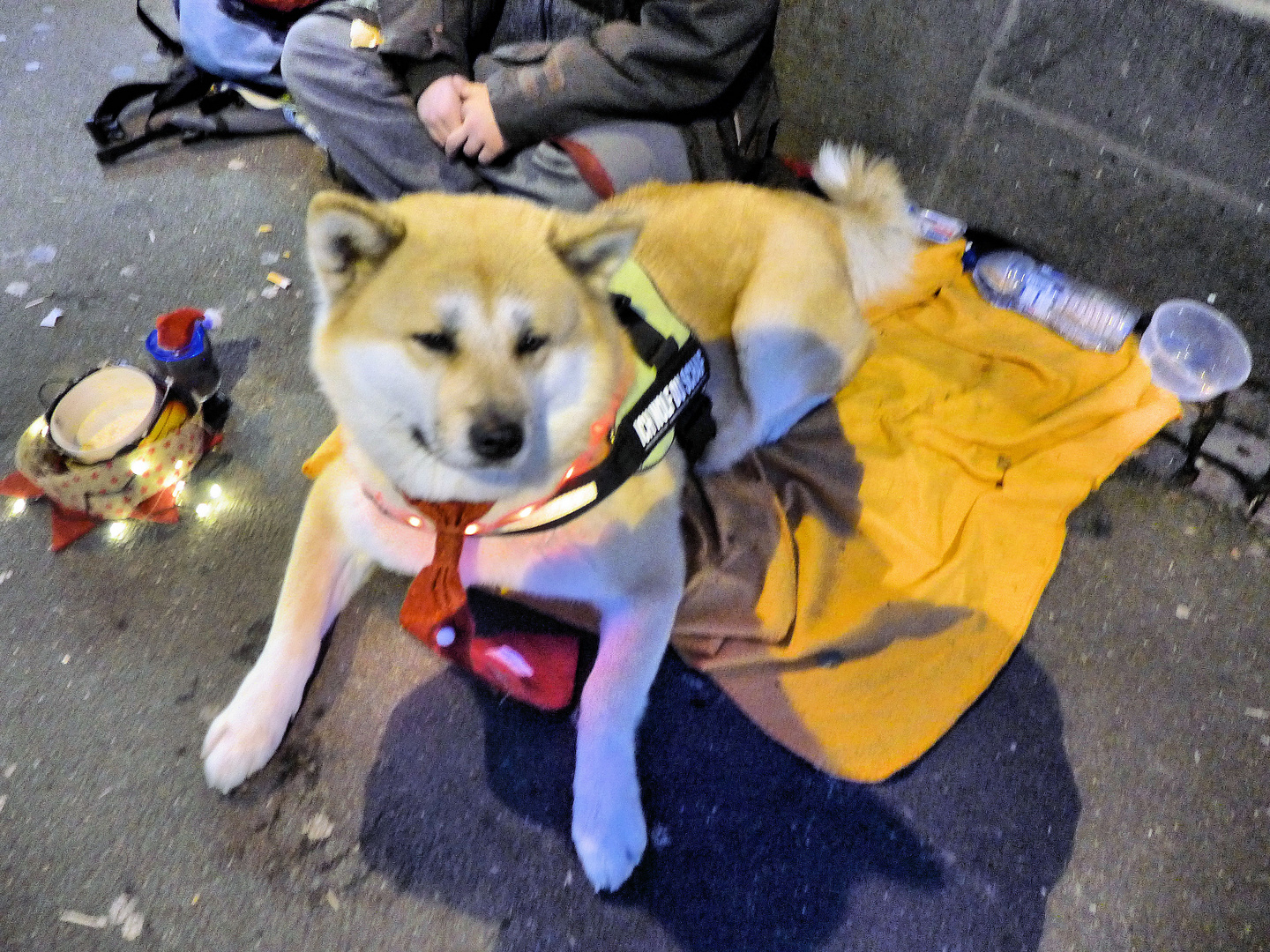 Ein Japaner in Köln