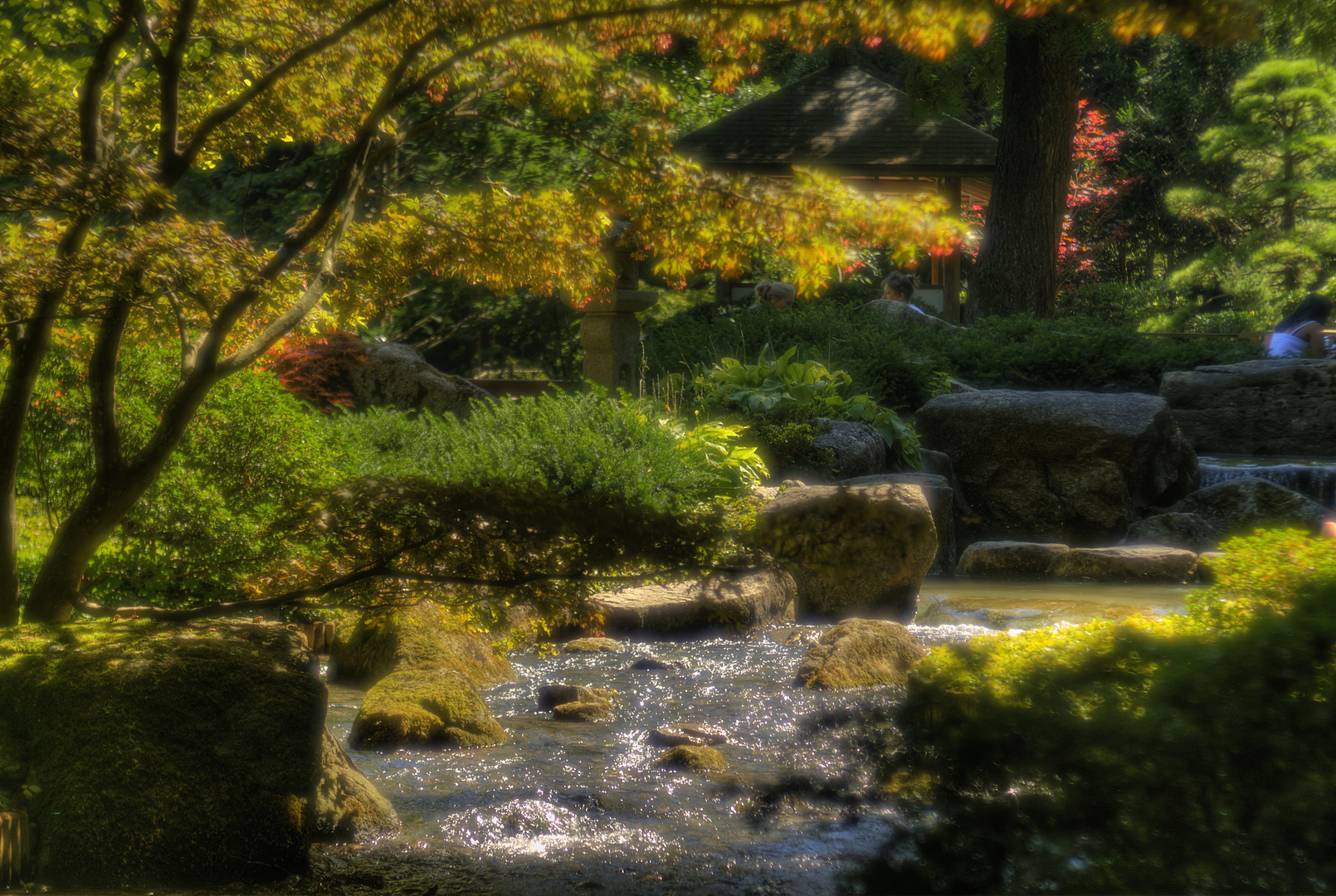 Ein japanischer Garten