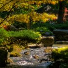 Ein japanischer Garten