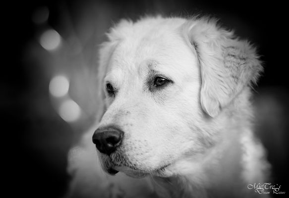 Ein jeder Tag kann ein schöner Tag werden...