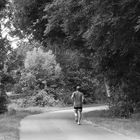 ein Jogger auf dem Weg ins Moor ...