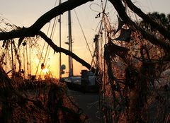 Ein Juli Abend an der Ostsee