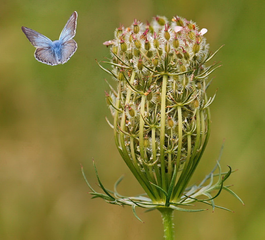 Ein Juli-Foto