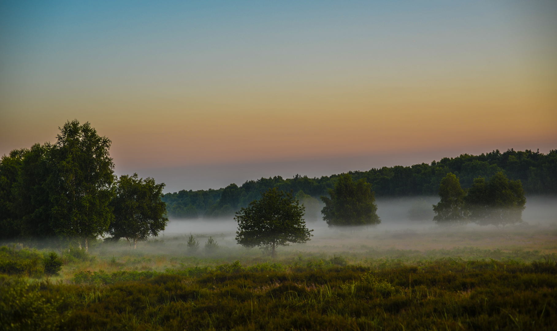 Ein Julimorgen