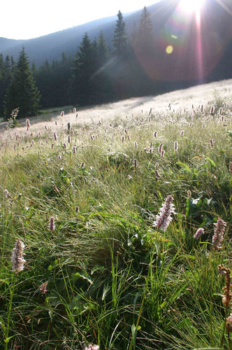 Ein Julitag im Riesengebirge