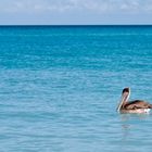 Ein Junger am Strand