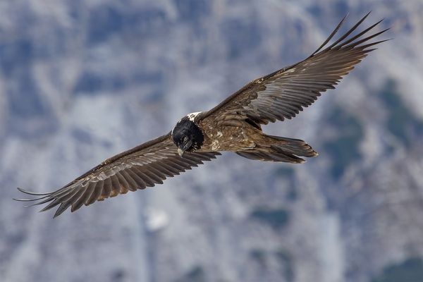 "Ein Jungspunt........"