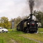 Ein Käfer an der Eisenbahnkreuzung I