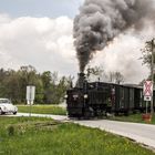 Ein Käfer an der Eisenbahnkreuzung II