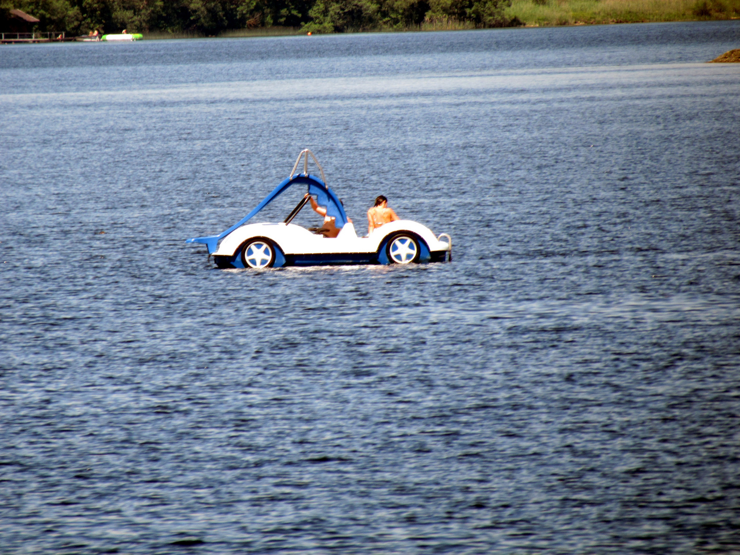 Ein Käfer auf dem Staffelsee?