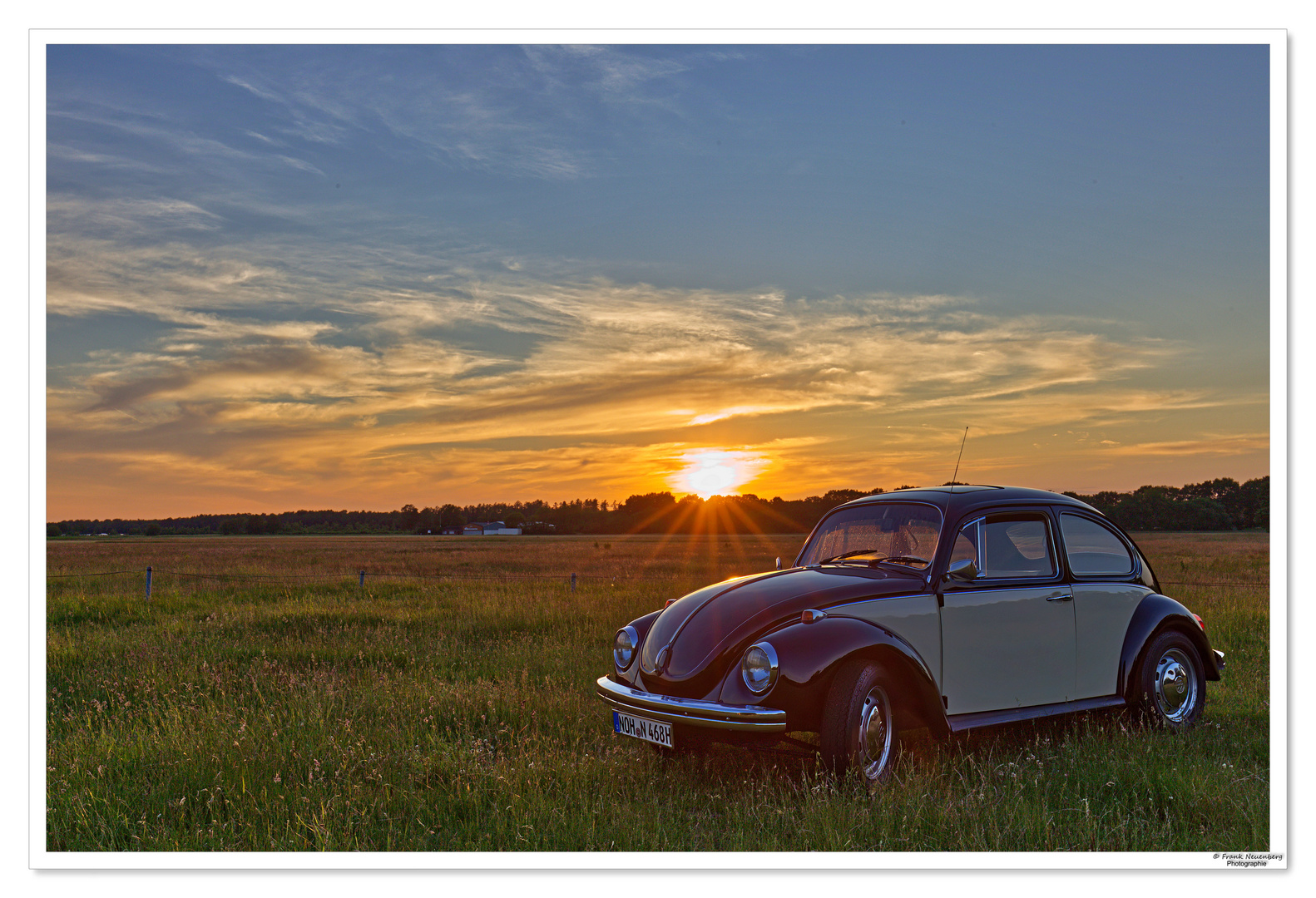 *** Ein Käfer in der Abendsonne *** 