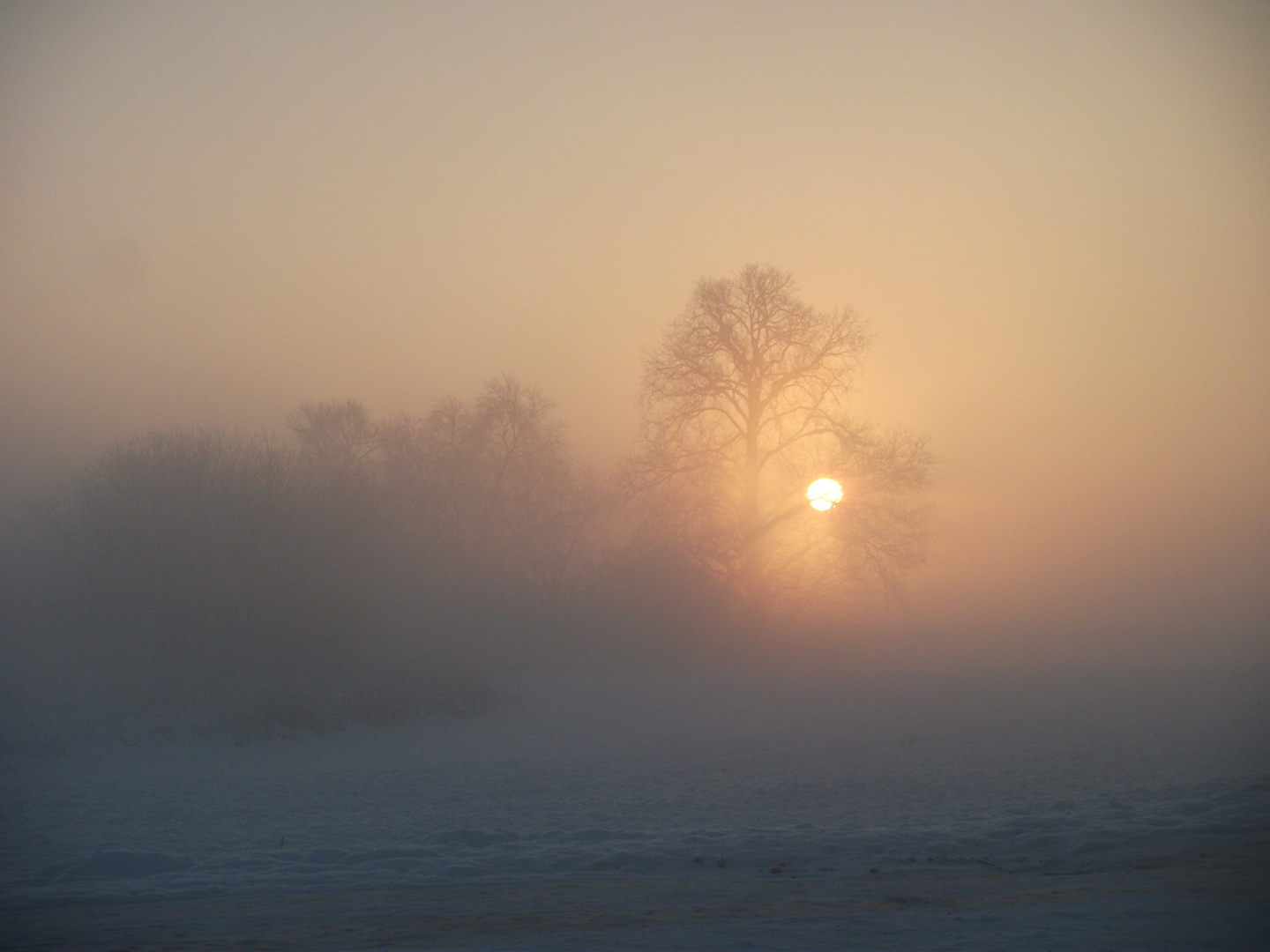 Ein kalter Dezember Morgen