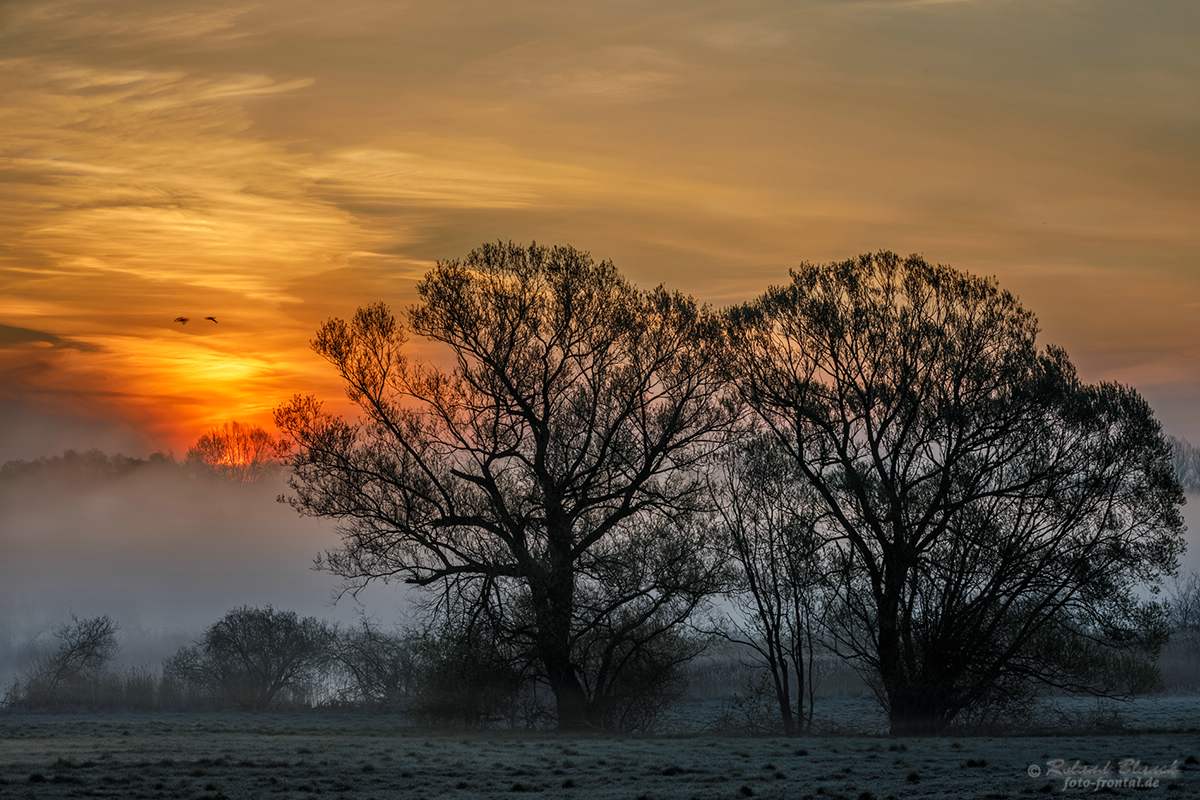 Ein kalter Frühlingsmorgen