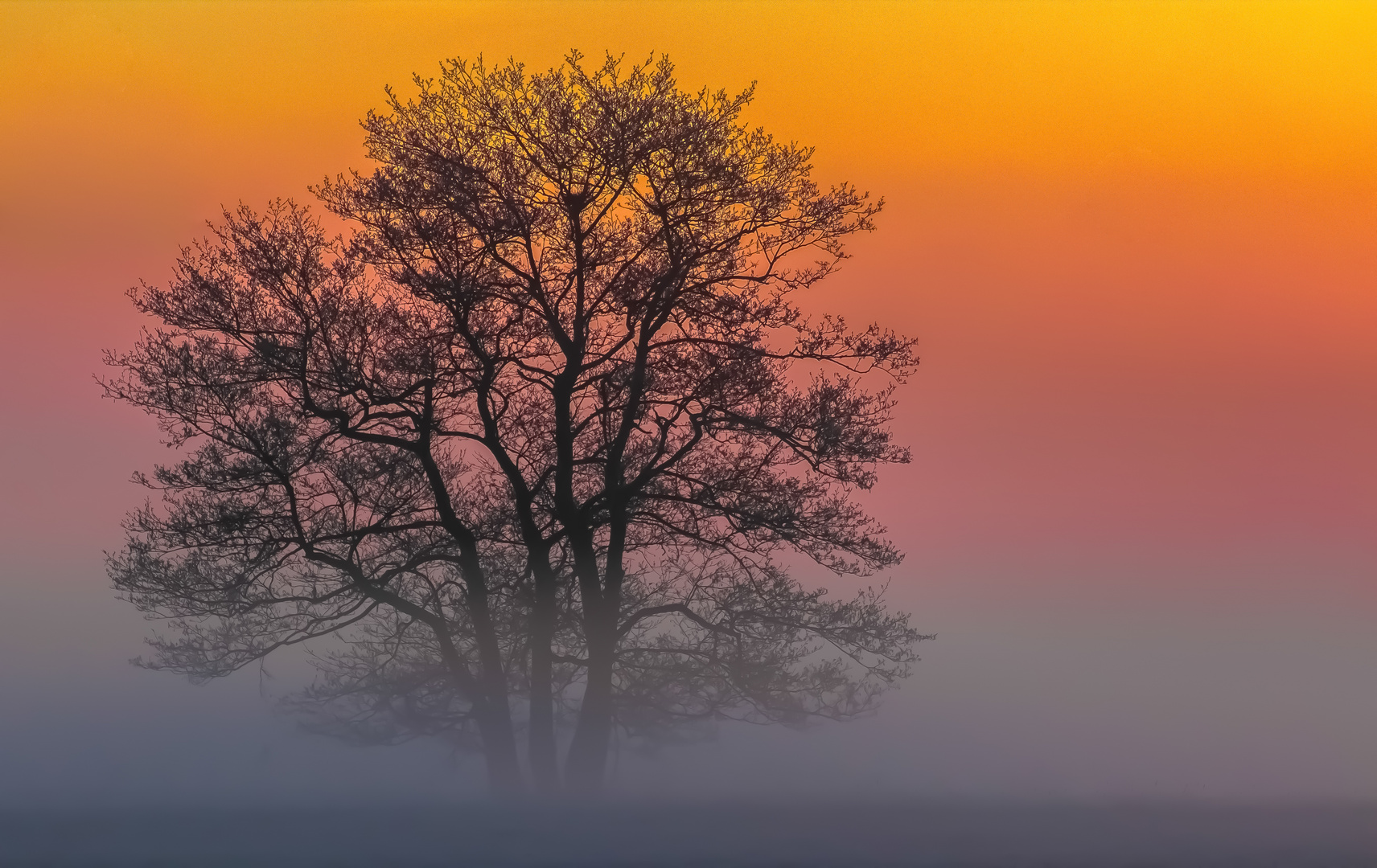 Ein kalter März Morgen