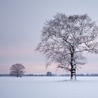 ein kalter Morgen