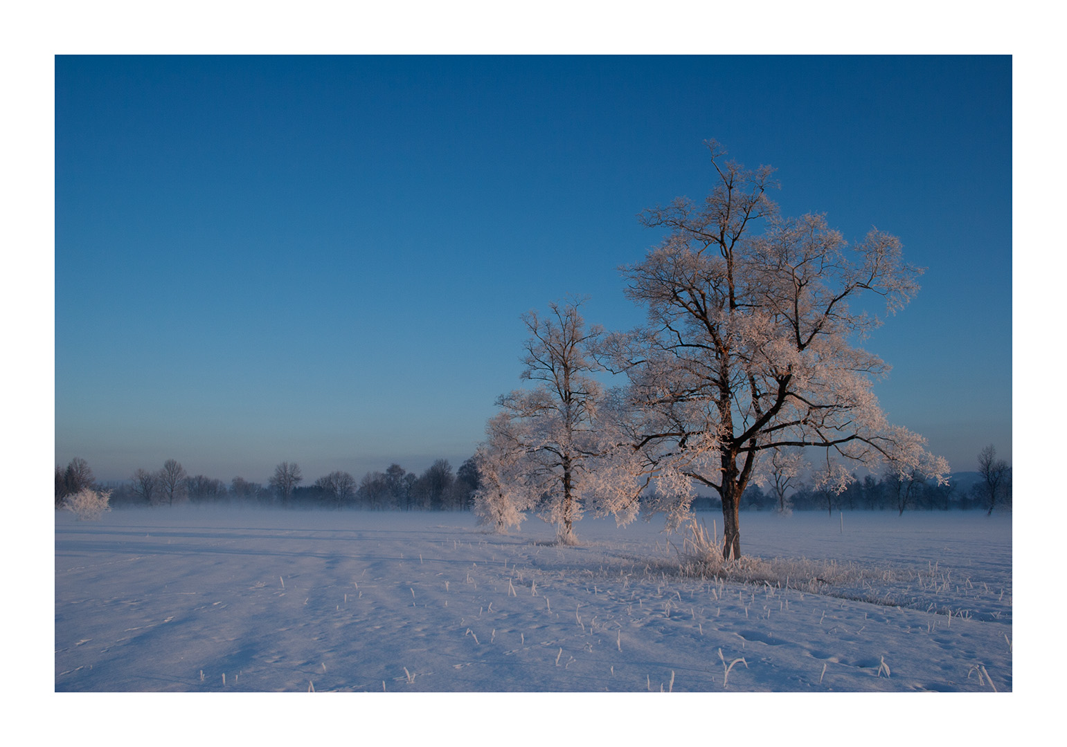 Ein Kalter Morgen