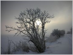 Ein kalter Morgen...