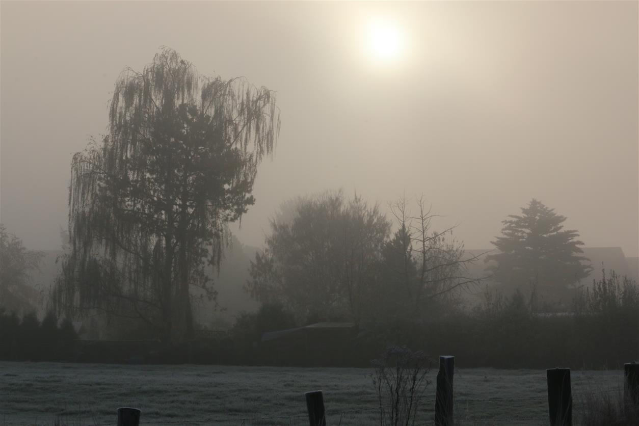 Ein Kalter Morgen....