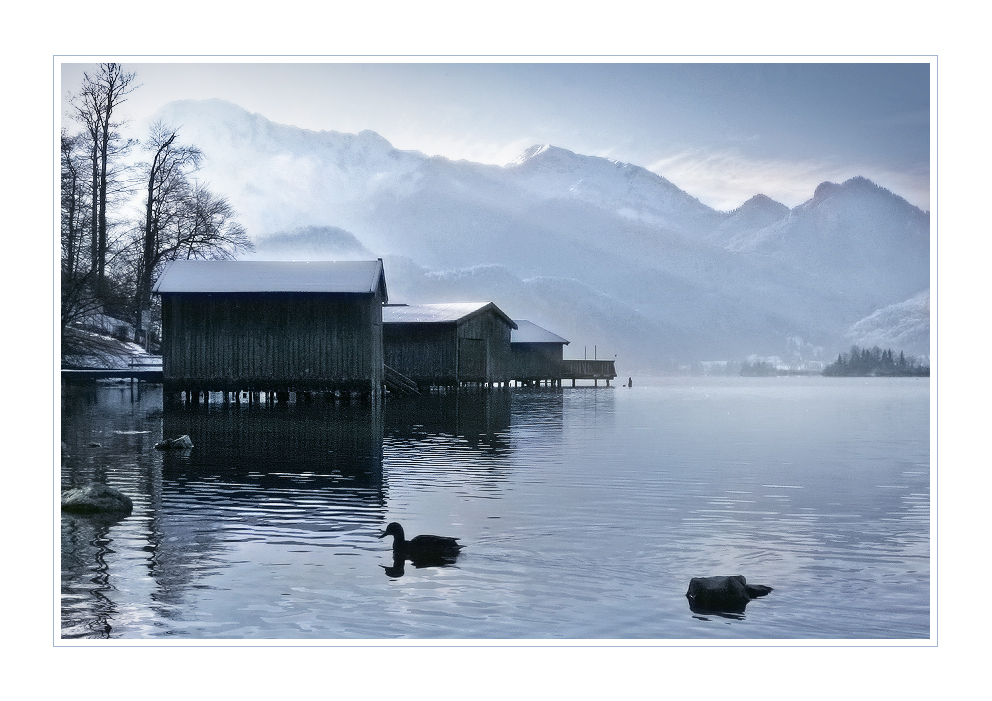 Ein kalter Morgen am Kochelsee...