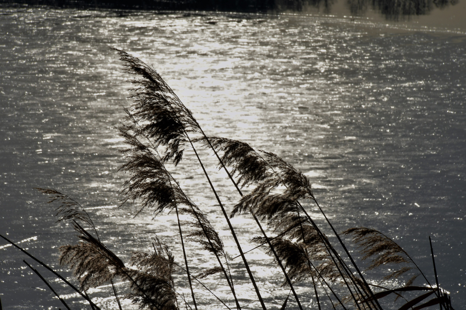 ein kalter Morgen am Stausee