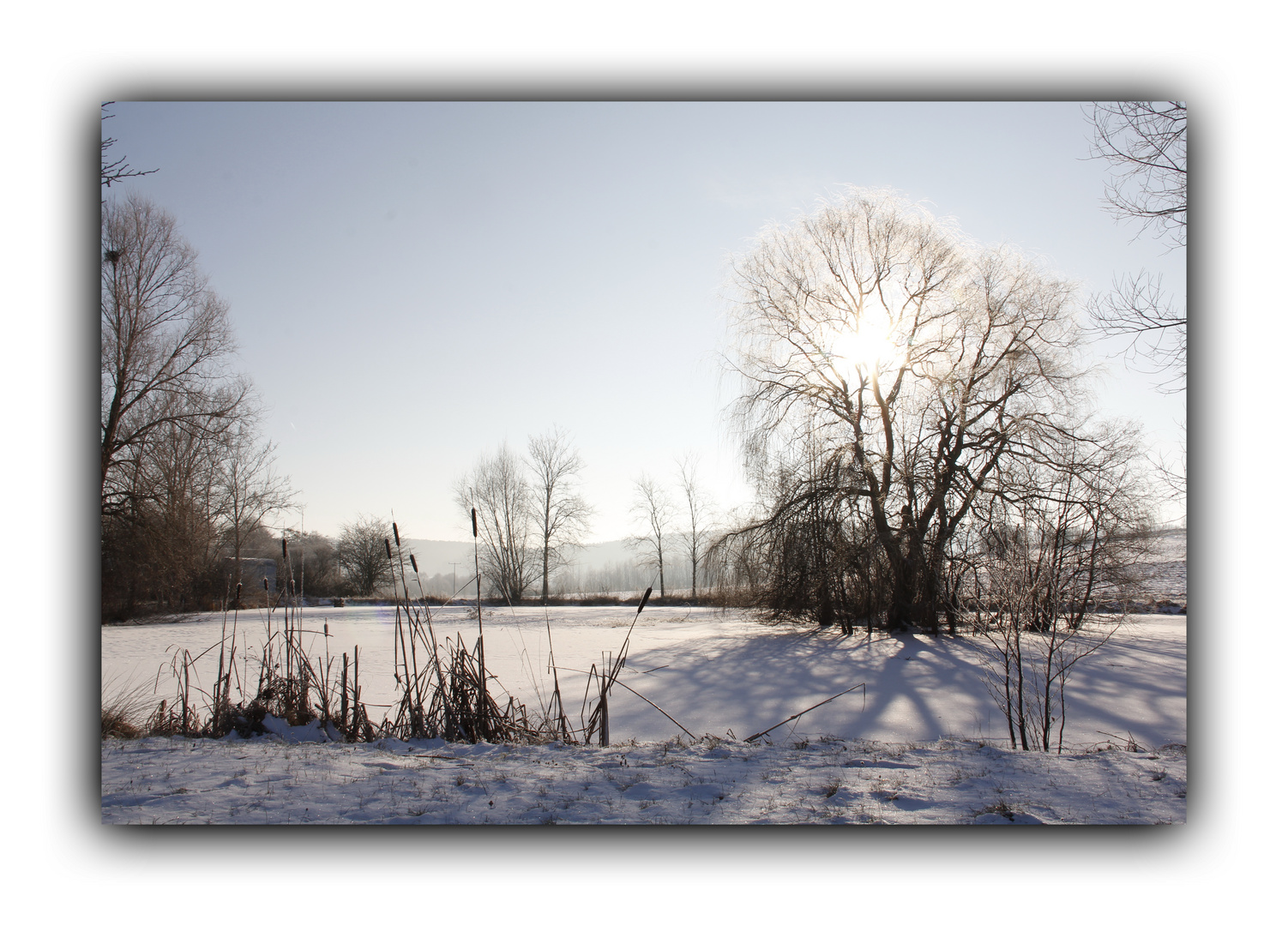 Ein kalter Morgen am Teich.