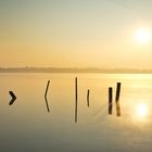 ein kalter Morgen am Waginger See 