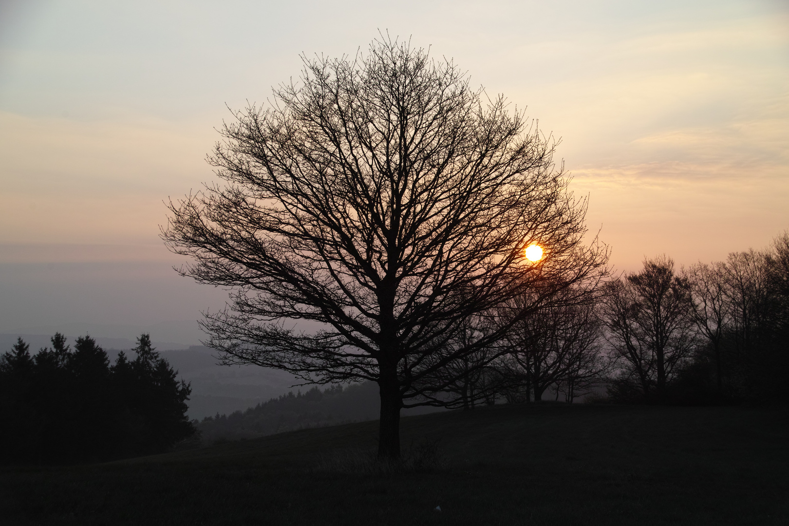 ein kalter Morgen im April