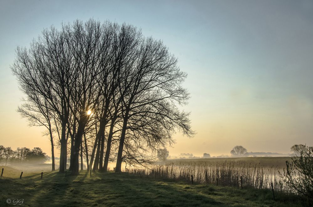 Ein kalter Morgen im Außendeich