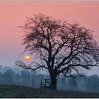 Ein kalter Morgen im März