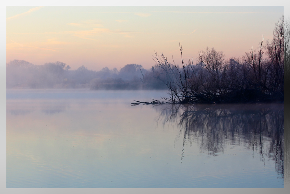 Ein kalter Morgen in Finkenwerder...