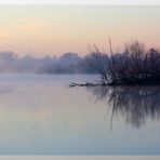 Ein kalter Morgen in Finkenwerder...