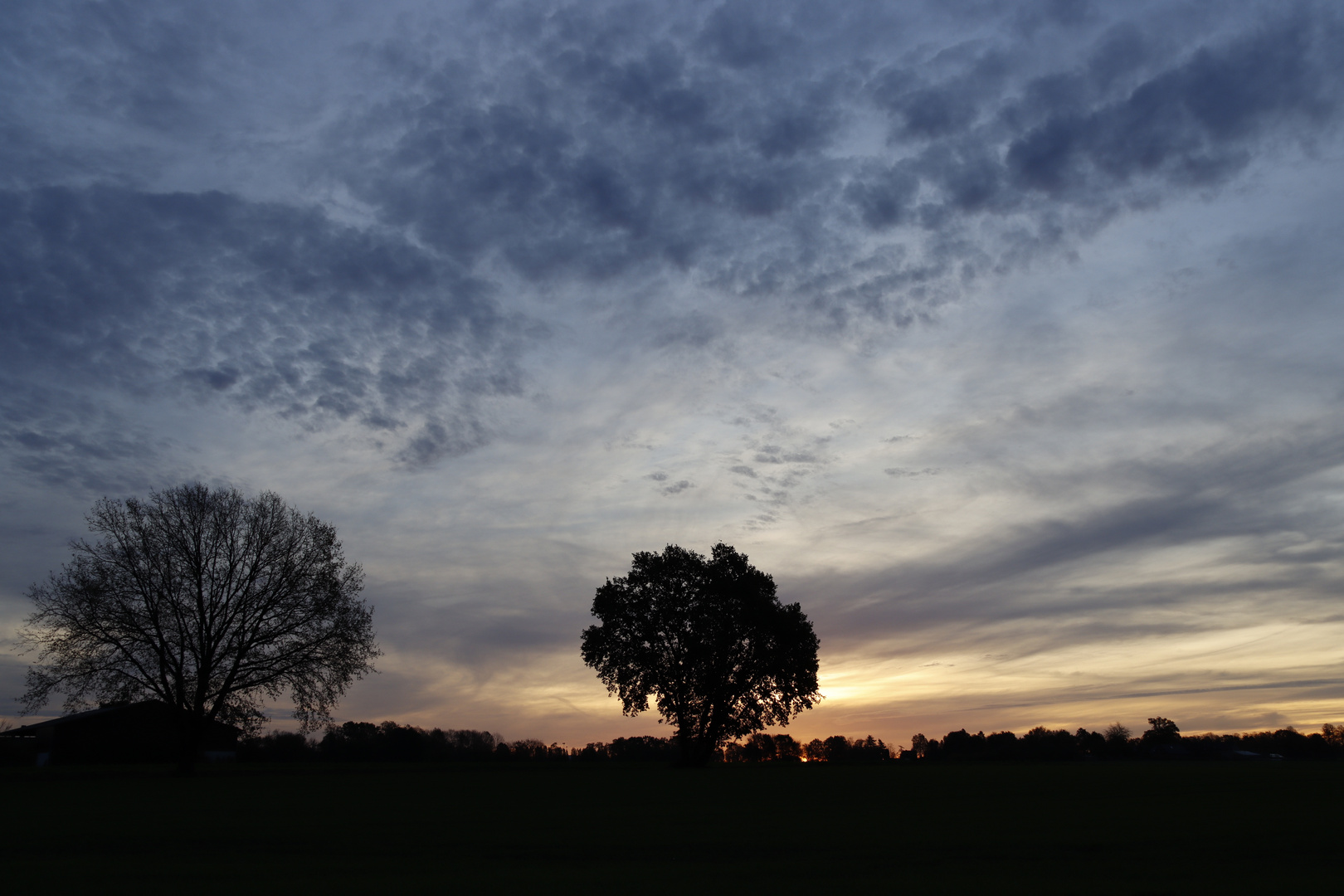 Ein kalter Novembermorgen