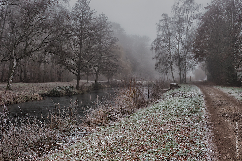 Ein kalter, sehr nebliger Wintertag