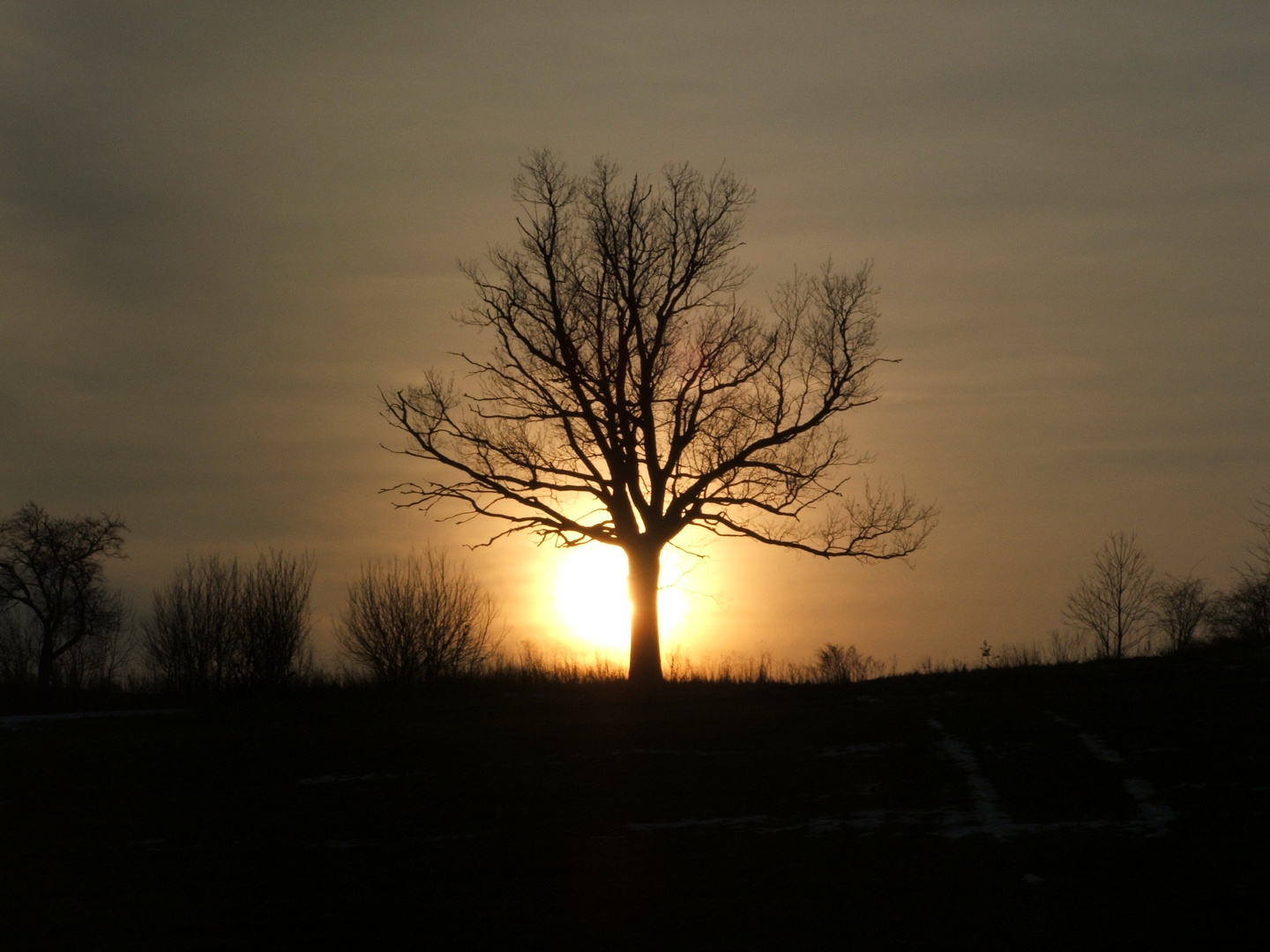 Ein kalter Sonnenuntergang