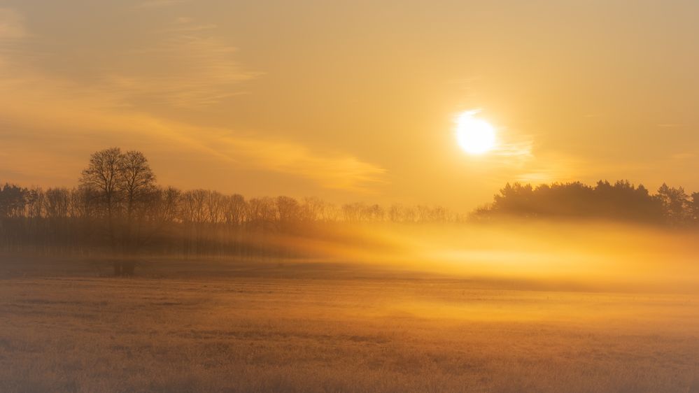 Ein kalter Tag beginnt Foto & Bild | deutschland, europe, brandenburg ...