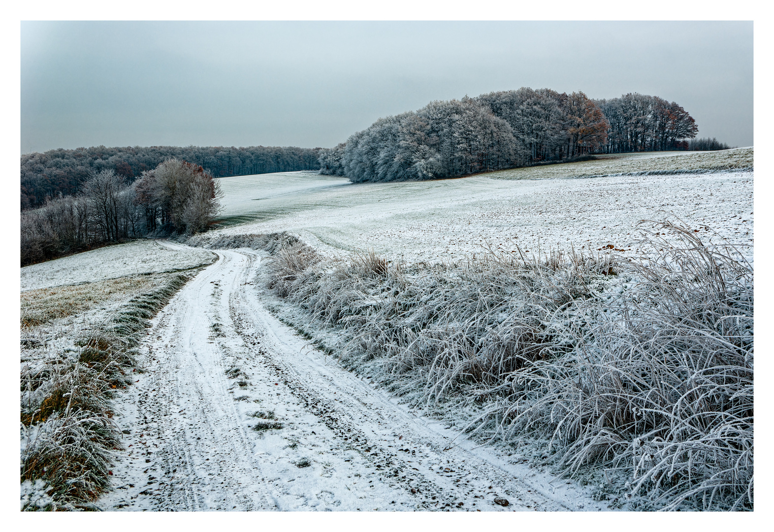 Ein kalter Tag im Dezember