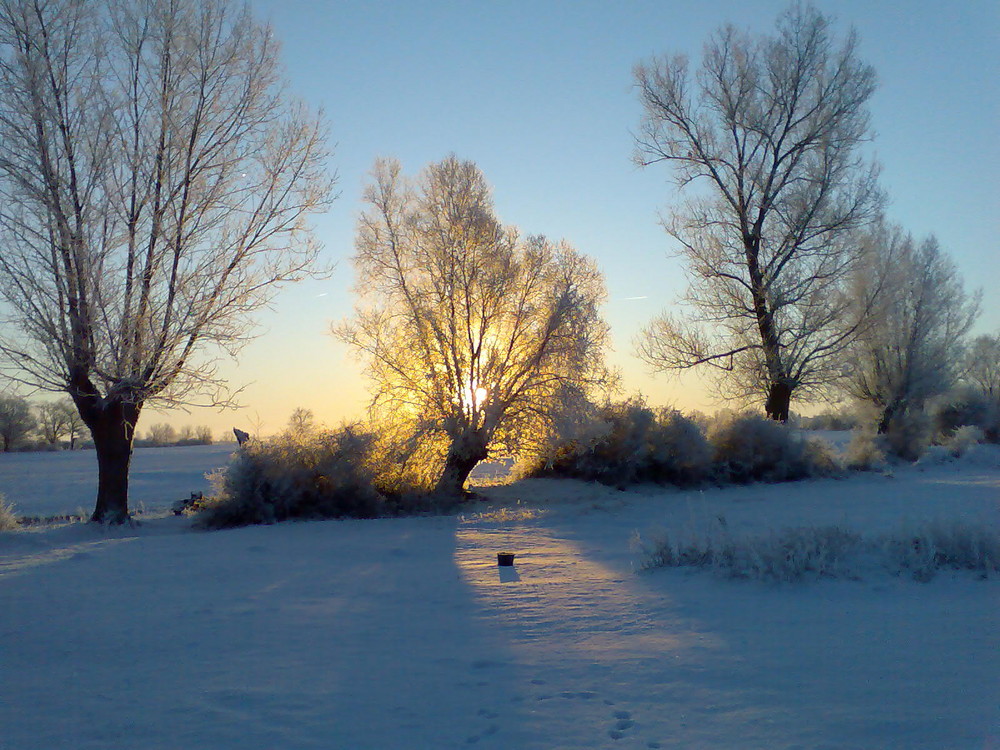 ein kalter Tag im Januar