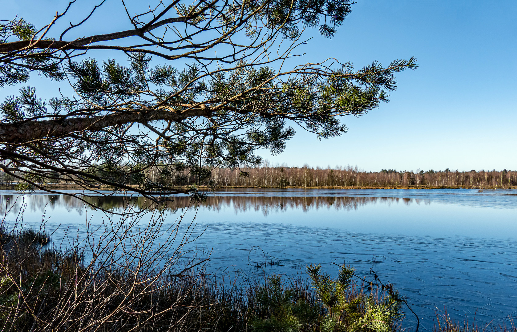 Ein kalter Tag im Tister Bauernmoor