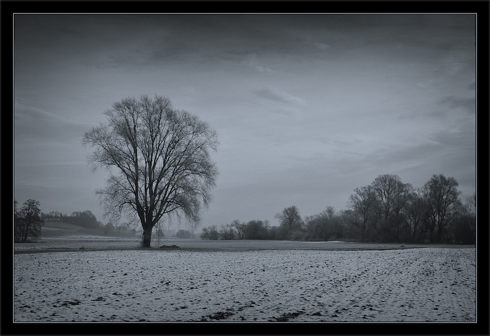 Ein kalter, trüber Morgen im November