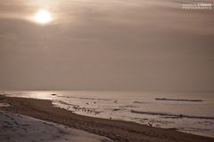 Ein kalter und nebliger Tag auf Sylt