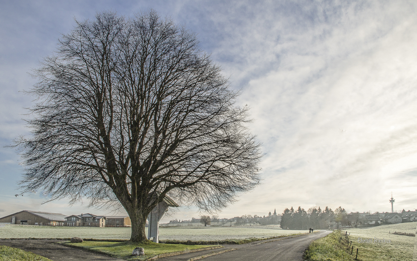 Ein kalter Wintermorgen 001