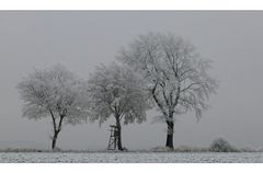 ein kalter Wintermorgen