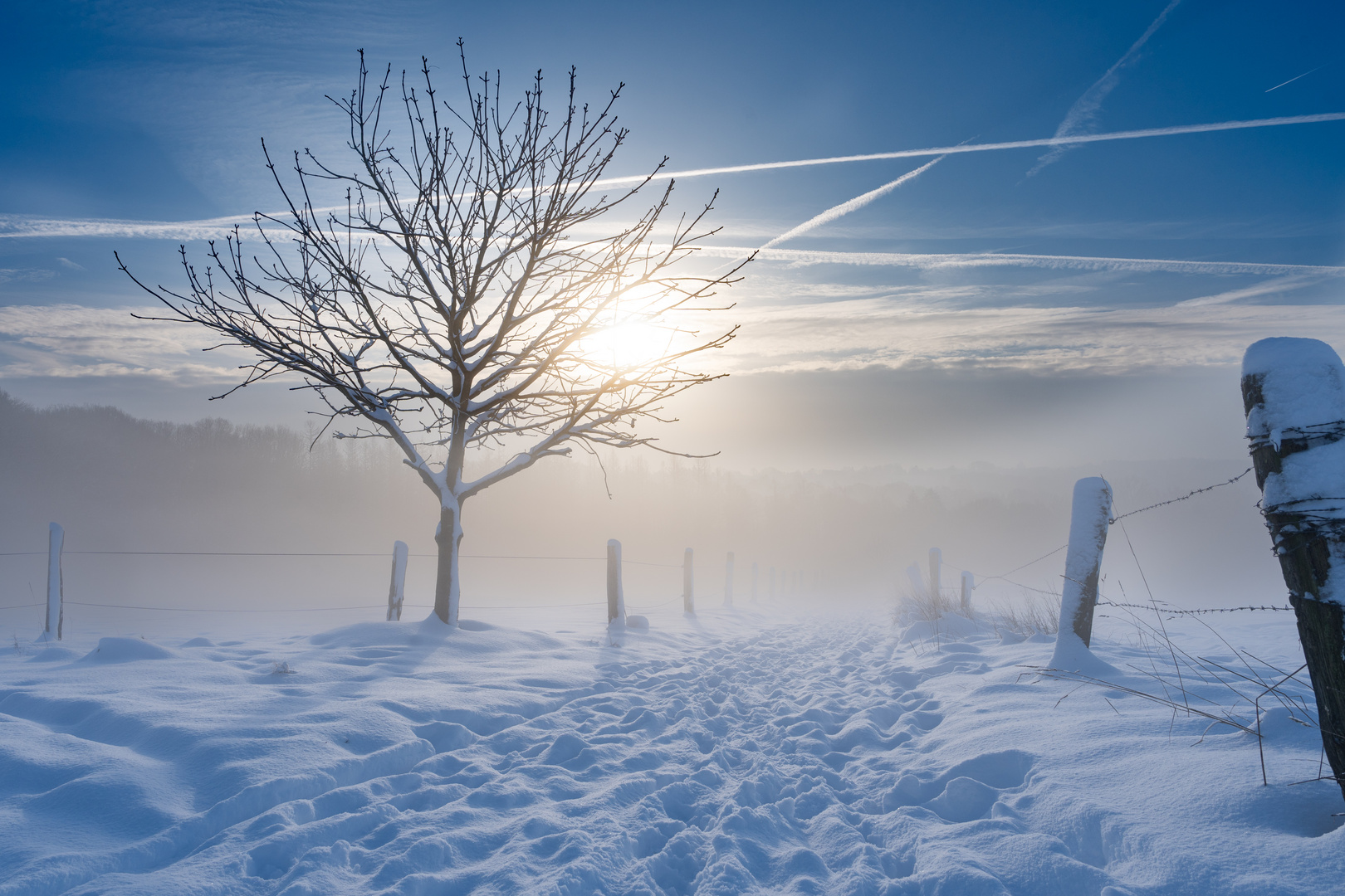 Ein kalter Wintermorgen 