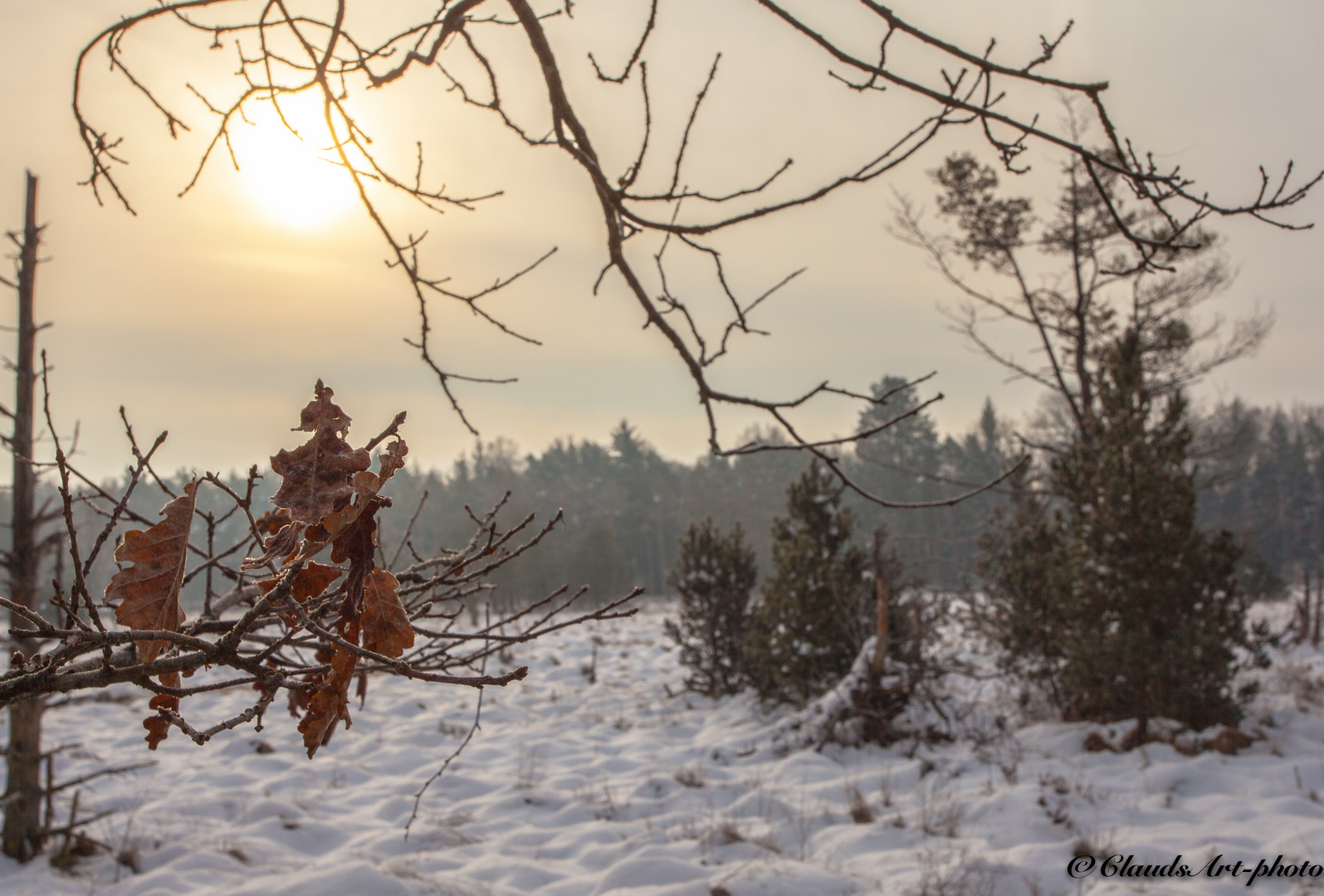 Ein kalter Wintermorgen